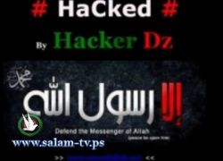 اختراق اكثر من خمسون موقع للحكومة الامريكية