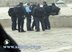 تحذير من تصريحات قائد الشرطة الإسرائيلية في القدس