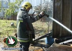 الدفاع المدني: حريق في مزرعة دواجن بطولكرم يؤدي لنفوق 32 ألف صوص