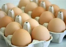 تدمير 6500 بيضة كانت مهربة من الضفة الغربية إلى إسرائيل