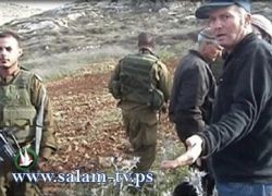 مستوطنون يقتلعون أشجاراً في قرية قريوت