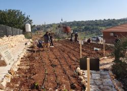 بنك فلسطين يقدم دعمه لإنشاء حديقة أم التوت البيئية في جنين بالشراكة مع مركز العمل التنموي "معاً"