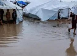 العفو الدولية: "إسرائيل" تتحمل مسؤولية وفيات المنخفض بغزة وليس الطقس وحده
