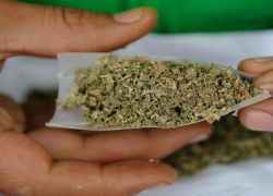 تقرير: ترامب يدرس إعادة تصنيف &quot;الماريجوانا&quot; كمخدر أقل خطورة