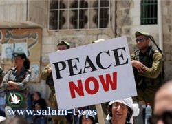 هآرتس: سوريا مستعدة لدراسة احتمال عقد سلام مع اسرائيل وتطبيع العلاقات