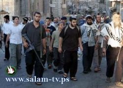 المستوطنون يمنعون جمعية المزارعين من دخول اراضي الحفاصي شرق طولكرم