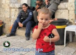 صور مؤثرة للطفلة الفلسطينية تالا قرش بعد طردها من منزلها