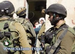 الاحتلال يعتقل أربعة عشر مواطنا من الضفة الغربية