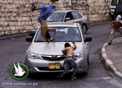 مستوطن اسرائيلي يدهس مواطنا بالخليل