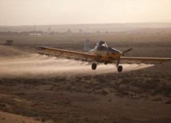 طائرات الاحتلال ترش الجنود بالمبيدات بدلا من الجراد !!