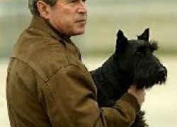 بوش الابن وقرينته يتلقيان التعازي في كلبهما بارني