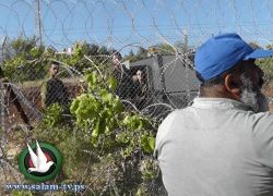 مستوطنون يعتدون على كروم العنب في بيت أمر