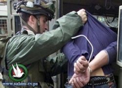 قوات الاحتلال تعتقل ثلاثة شبان من عزون شرق قلقيلية