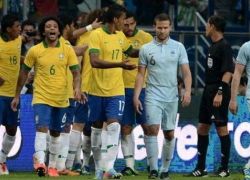 البرازيل تمنع صياح الديوك الفرنسية