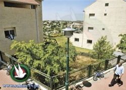 اسرائيل تدرس نقل بؤرة استيطانية الى اراض فلسطينية مصادرة