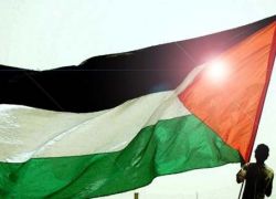صرخة ثائرة : بقلم رماح عمر