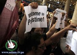 شركة طيران ألمانية تلغي تذاكر متضامنين مع فلسطين