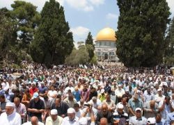 350 ألف مصل أدوا الصلاة في المسجد الأقصى