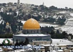حالة الطقس: أجواء باردة اليوم وعاصفة حتى نهاية الأسبوع
