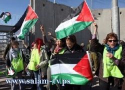 إسرائيل تُرحل آخر النشطاء الاجانب الذي وصلوا متضامنين