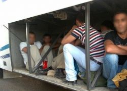 شرطة الاحتلال تعتقل 48 عاملا فلسطينيا