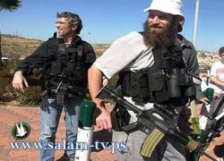 مستوطنون يقتلعون أشتال زيتون في الخضر ويسرقونها