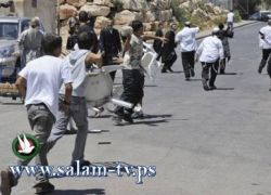 الخليل: إصابة مواطنين وإلحاق أضرار بعدة منازل في هجمات للمستوطنين