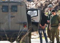 الاحتلال يعتقل شابين من مدينة جنين ومخيمها