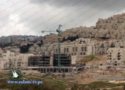 قوات الاحتلال تبدأ ببناء جسر يغير معالم مدخل بلدة سلوان