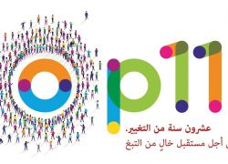 قبيل مؤتمر الأطراف (COP11): خبراء الصحة يناقشون فاعلية السياسات العالمية بعد مرور 20 عامًا على الاتفاقية قبيل مؤتمر الأطراف (COP11): خبراء الصحة يناقشون فاعلية السياسات العالمية بعد مرور 20 عامًا على الاتفاقية