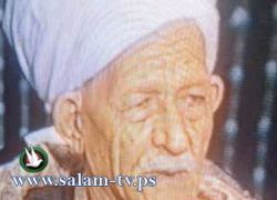 أكبر وأحدث عريس في العالم.. صعيدي وعمره 103 أعوام