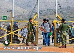 طولكرم - فتح بوابة نتانيا من 11ظهراً وحتى 8 مساءً وجبارة من 8 وحتى 8