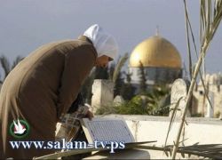 بالصور.. تلفزيون السلام يعرض احتفالات عيد الأضحى حول العالم!