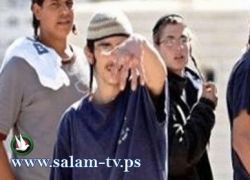مستوطنون يعتدون على شبان مقدسيين بالضرب المبرح