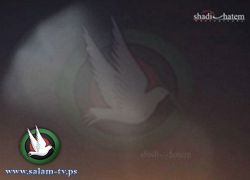 "جسم غريب" بالسماء شوهد فوق فلسطين والاردن وسوريا ولبنان "صور وفيديو"