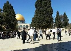عشرات المستوطنين يقتحمون باحات المسجد الاقصى