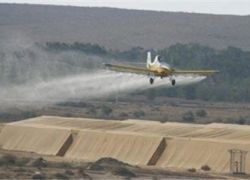 المحاصيل الزراعية الاسرائيلية مليئة بالمواد السامة