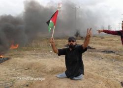 فيديو: إبراهيم.. بترت إسرائيل قدميه ثم عادت وقتلته