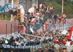 سفراء عزاب في القاهرة