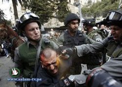 أكثر من 75 ألف حالة اعتقال منذ بدء انتفاضة الأقصى
