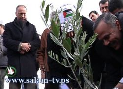 إحياء فعاليات يوم الشجرة بطولكرم بغرس الأشتال في حديقة بلدية طولكرم البيئية