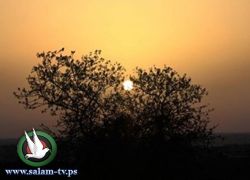 الطقس: درجات الحرارة ادنى من معدلها النسوي