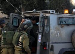 قوات الاحتلال تعتقل مواطنا من بلدة بلعا