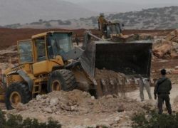 مستعمرون يحرثون أراضي زراعية في ترمسعيا شمال رام الله