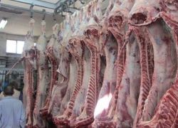 من يحدد اسعار اللحوم في الاسواق؟