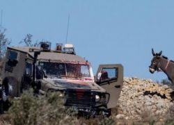 جيش الاحتلال يتهم الشاباك والشرطة برعاية جرائم المستوطنين في الضفة