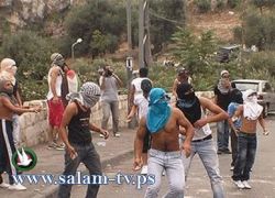 إضرام النار في سيارة للمستوطنين واعتقال ناشط حقوقي بسلوان