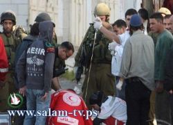 مستوطن يدهس شابا فلسطينيا جنوب نابلس من سكان طولكرم