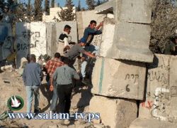 تقرير جديد لمنظمة بيتسيلم يفضح الممارسات الاستيطانية في الضفة
