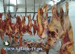 بلدية جنين تتلف كمية كبيرة من اللحوم المجمدة